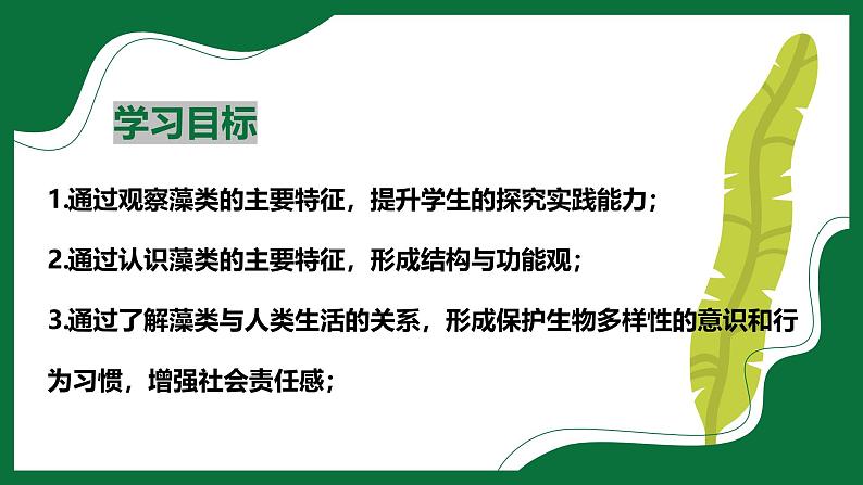 3.1.1 藻类（课件）-2024-2025学年六年级生物下册（鲁科版五四学制2024）第2页