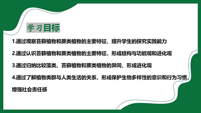 3.1.2 苔藓植物和蕨类植物（课件）-2024-2025学年六年级生物下册（鲁科版五四学制2024）第2页