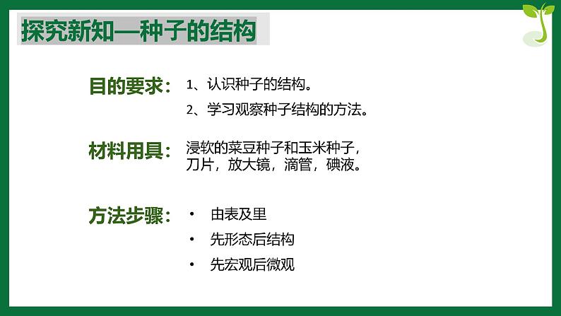 3.1.3 种子植物（课件）-2024-2025学年六年级生物下册（鲁科版五四学制2024）第6页