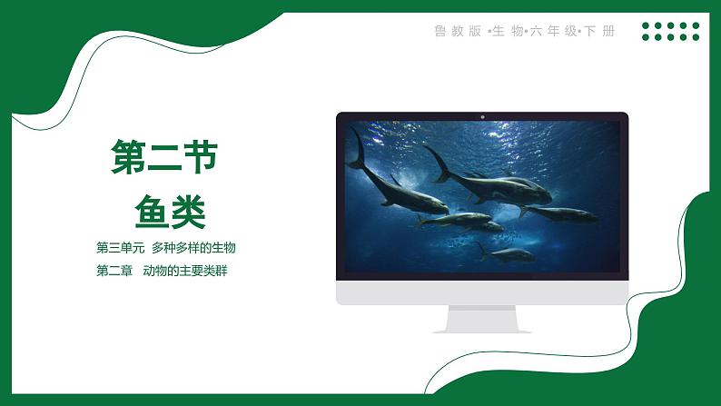 3.2.2 鱼类（课件）-2024-2025学年六年级生物下册（鲁科版五四学制2024）第1页