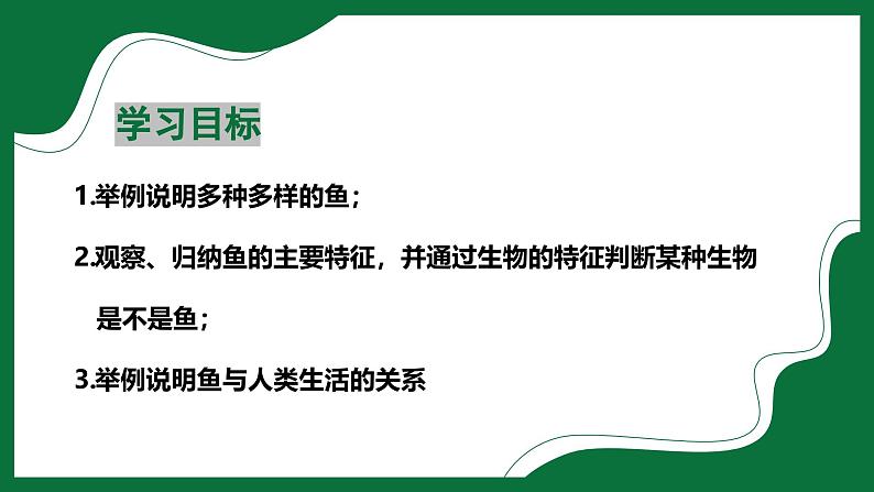 3.2.2 鱼类（课件）-2024-2025学年六年级生物下册（鲁科版五四学制2024）第2页