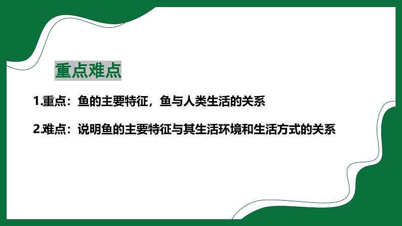 3.2.2 鱼类（课件）-2024-2025学年六年级生物下册（鲁科版五四学制2024）第3页