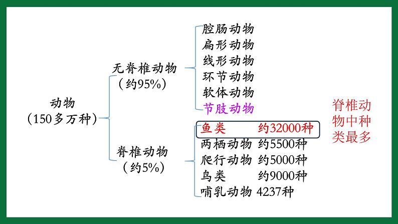 3.2.2 鱼类（课件）-2024-2025学年六年级生物下册（鲁科版五四学制2024）第7页