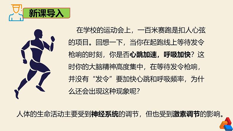 4.6.4 激素调节-2024-2025学年七年级生物下册同步精品课件（鲁科版五四学制2024）第3页