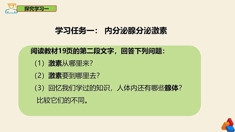 4.6.4 激素调节-2024-2025学年七年级生物下册同步精品课件（鲁科版五四学制2024）第4页