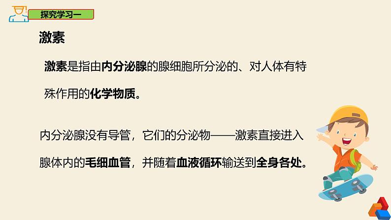 4.6.4 激素调节-2024-2025学年七年级生物下册同步精品课件（鲁科版五四学制2024）第5页