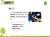 5.1.2 免疫与计划免疫-2024-2025学年七年级生物下册同步精品课件（鲁科版五四学制2024）