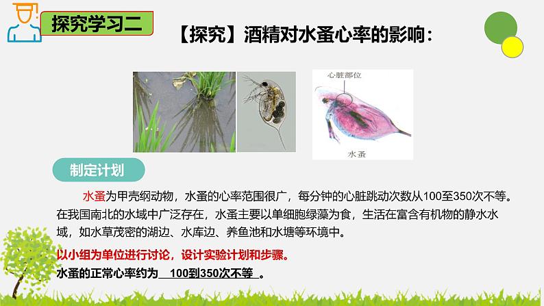 5.3.2 选择健康的生活方式-2024-2025学年七年级生物下册同步精品课件（鲁科版五四学制2024）第8页