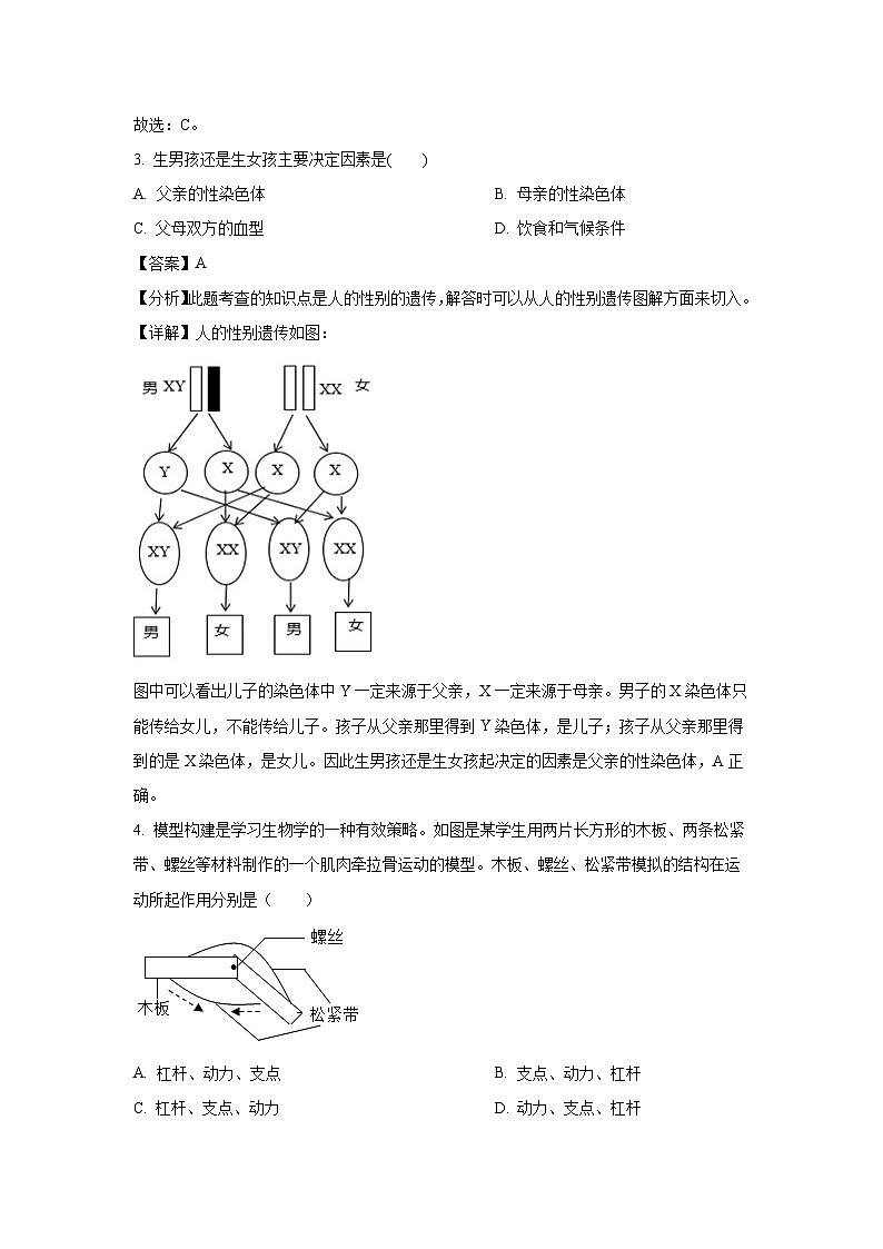 辽宁省抚顺市新宾满族自治县2024-2025学年八年级(上)期末生物试卷（解析版）第2页