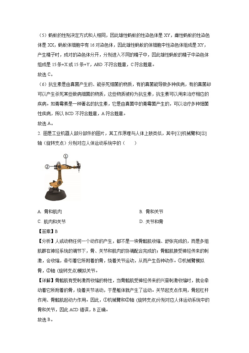 福建省泉州市2024-2025学年八年级(上)期末生物试卷（解析版）第3页