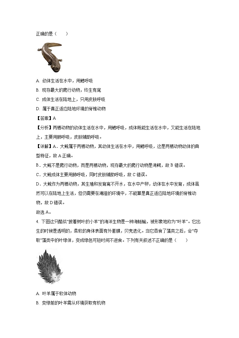 福建省宁德市2024-2025学年八年级(上)期末A卷生物试卷（解析版）第2页