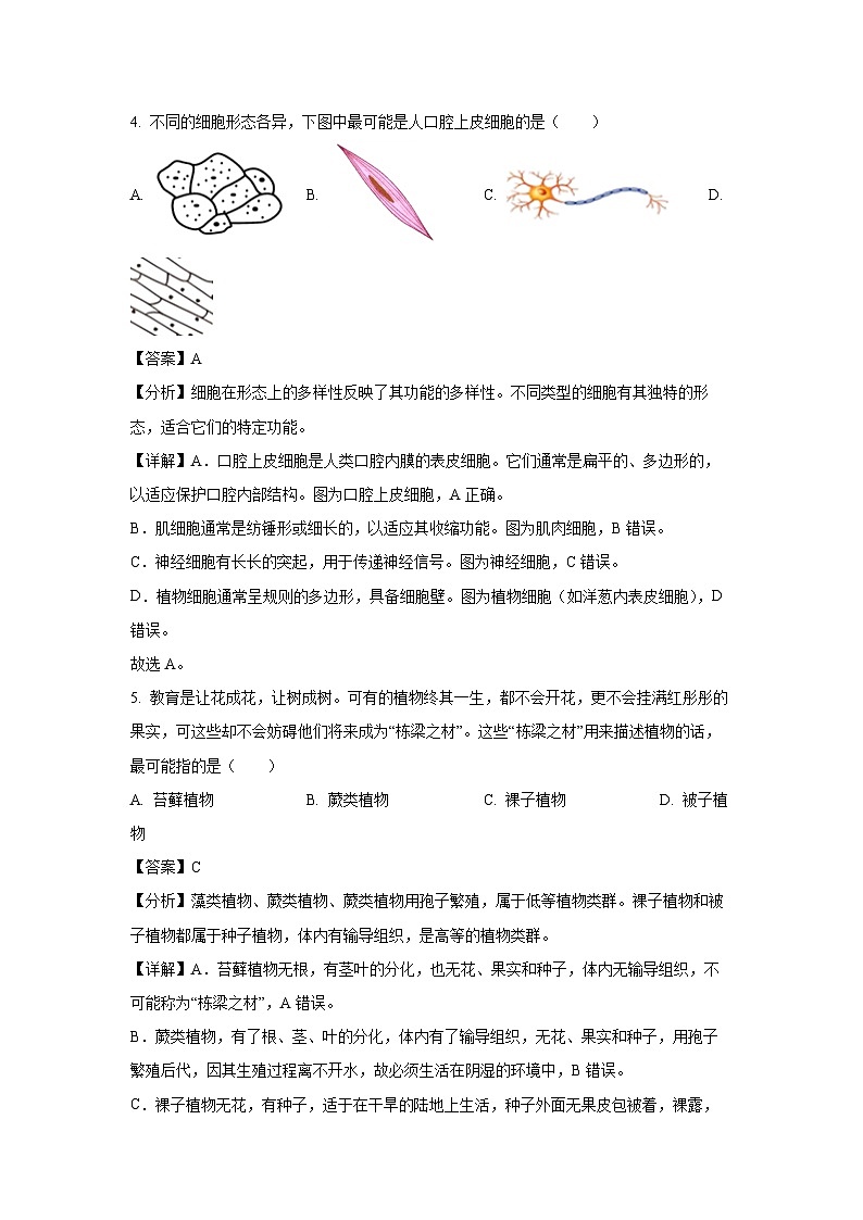 福建省三明市大田县2024-2025学年七年级上学期期末生物生物试卷（解析版）第3页