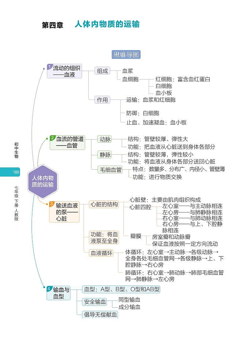 05-7年级下册人教版生物期末复习第四章思维导图第1页
