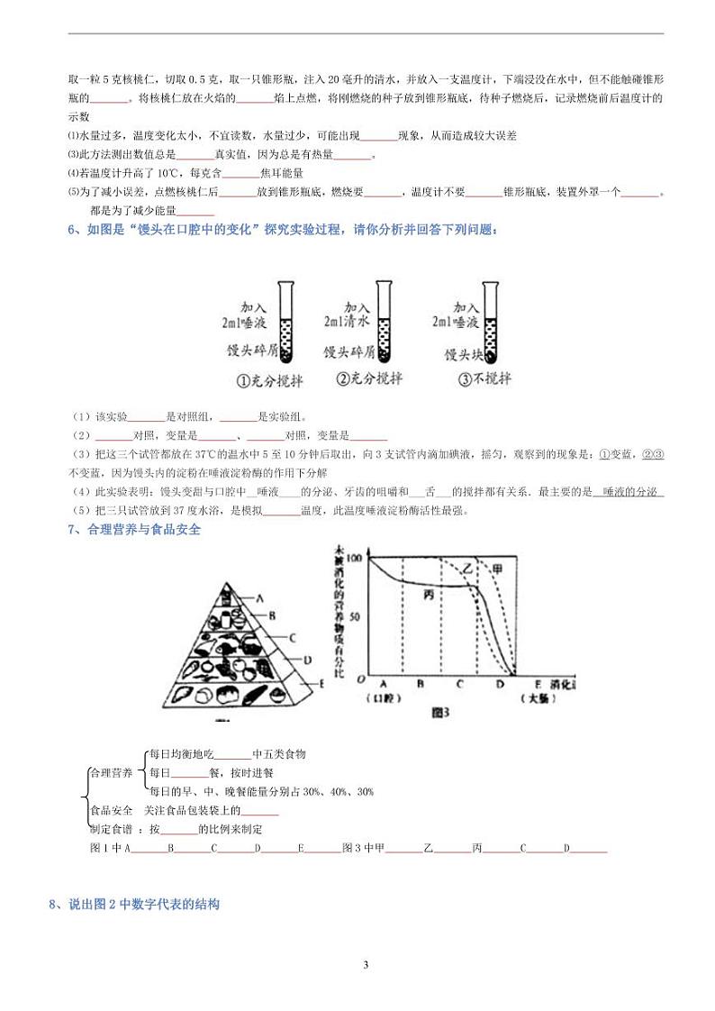 人教版生物七年级下册期末复习必背知识清单（填空）第3页