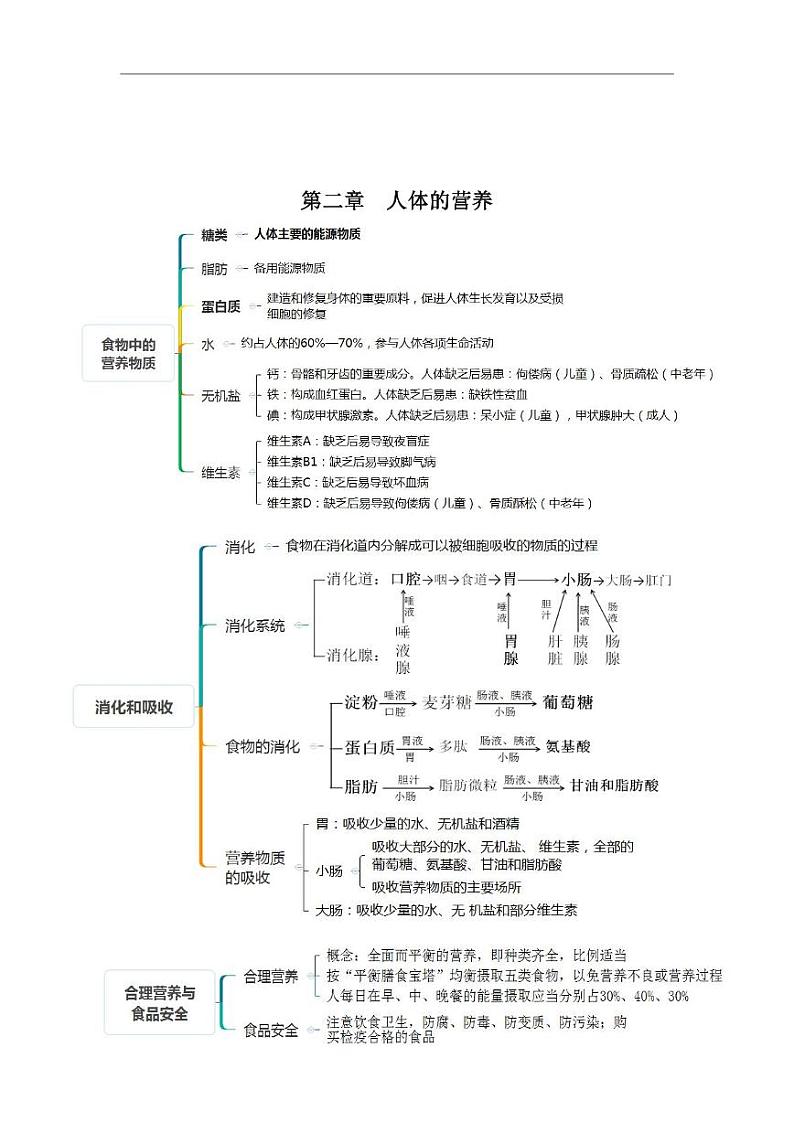 人教版生物七年级下册期末复习知识点(思维导图版)第2页