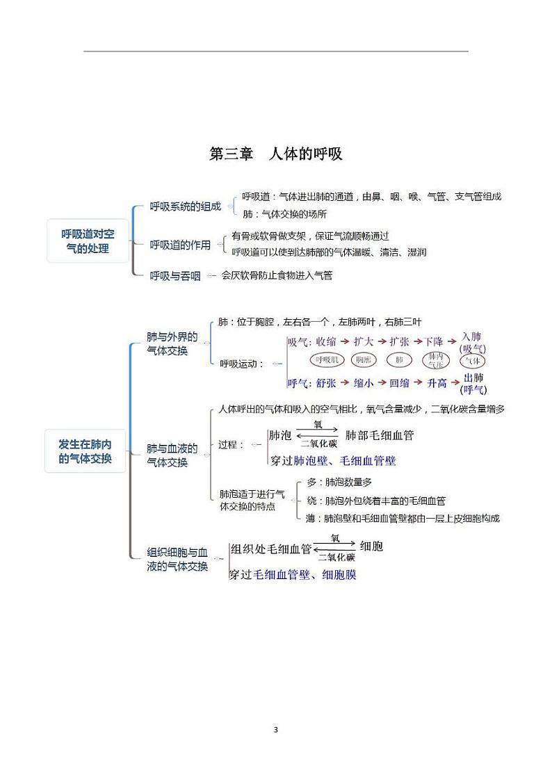 人教版生物七年级下册期末复习知识点(思维导图版)第3页