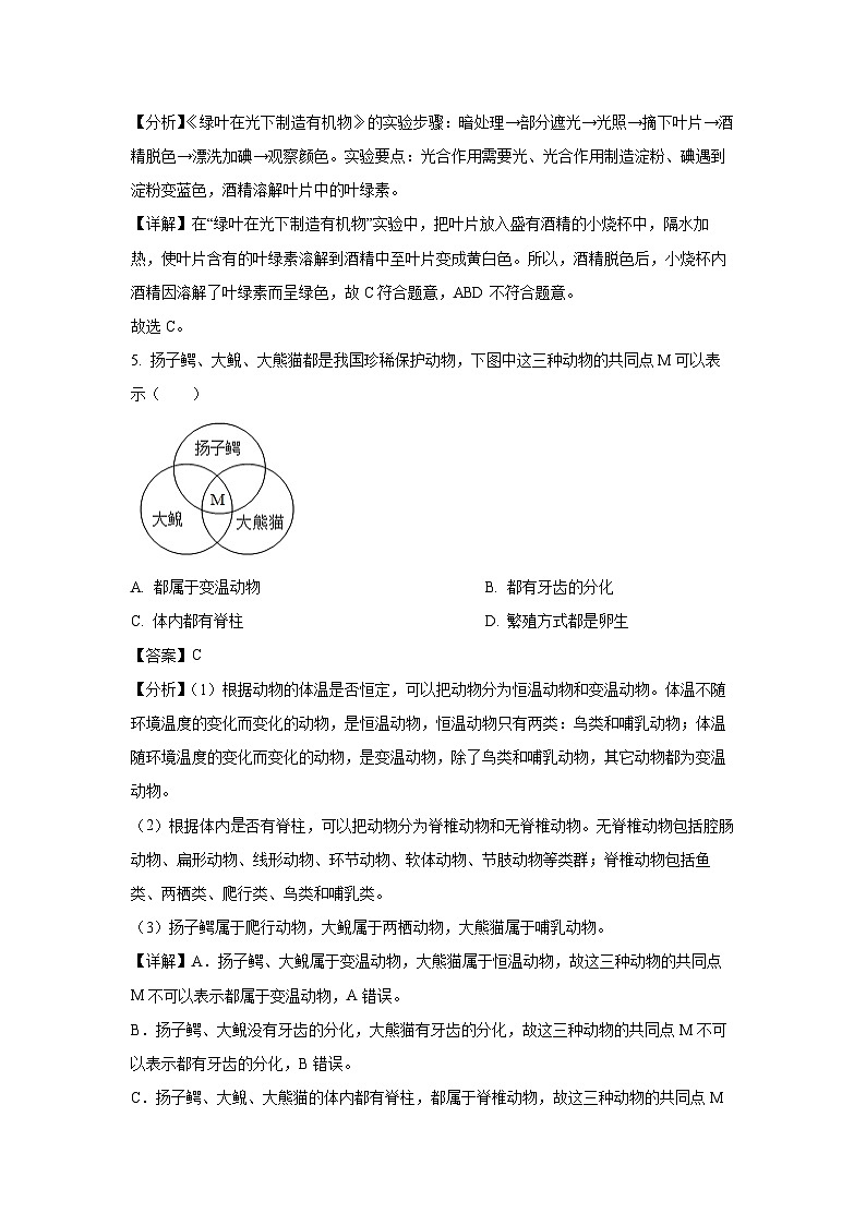 海南省文昌市2024—2025学年八年级(上)期末生物试卷（解析版）第3页