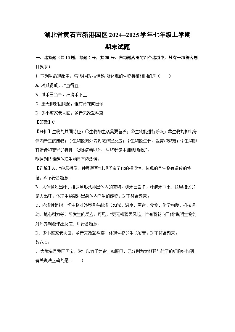 湖北省黄石市新港园区2024--2025学年七年级(上)期末生物试卷（解析版）第1页