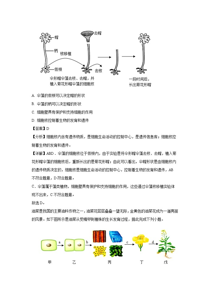湖北省黄石市新港园区2024--2025学年七年级(上)期末生物试卷（解析版）第3页