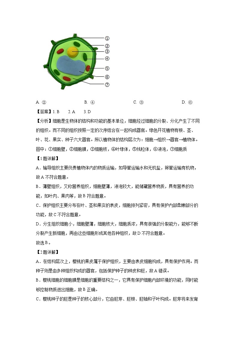 湖北省黄石市2024-2025学年七年级(上)期末生物试卷（解析版）第2页