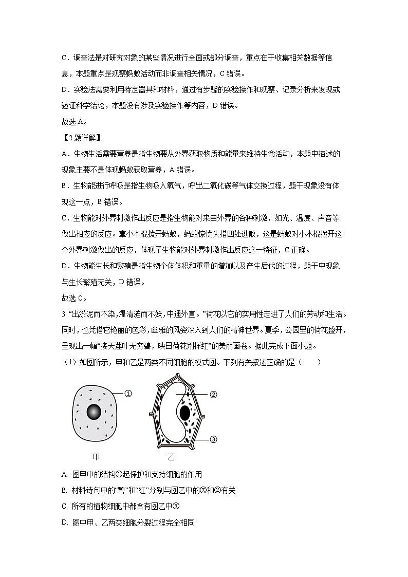 湖北省黄冈市2024-2025学年七年级上学期期末生物试卷（解析版）第2页