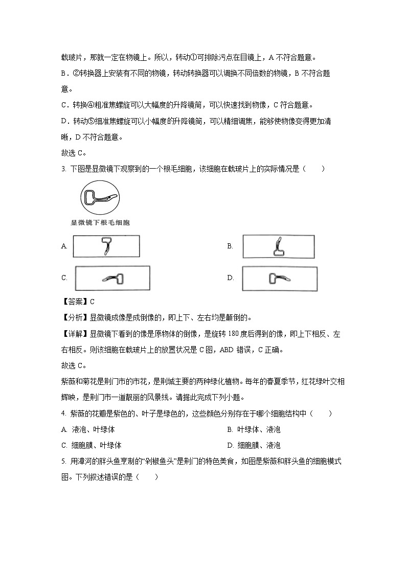 湖北省荆门市2024-2025学年七年级上学期期末生物生物试卷（解析版）第3页