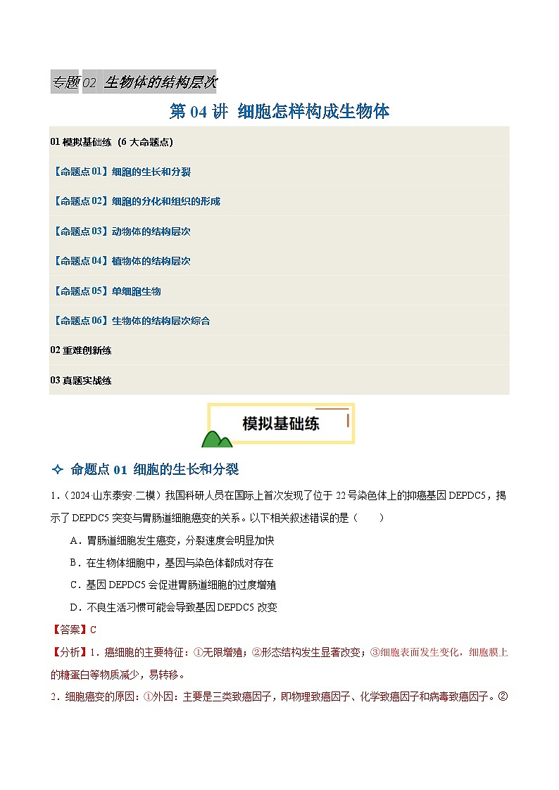 2025年中考生物一轮复习 第04讲 细胞怎样构成生物体（6大命题点分层精练）（解析版）第1页