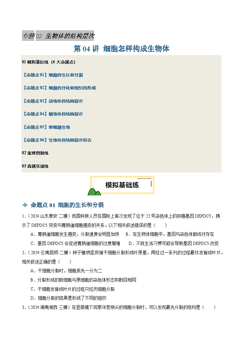 2025年中考生物一轮复习 第04讲 细胞怎样构成生物体（6大命题点分层精练）（原卷版）第1页