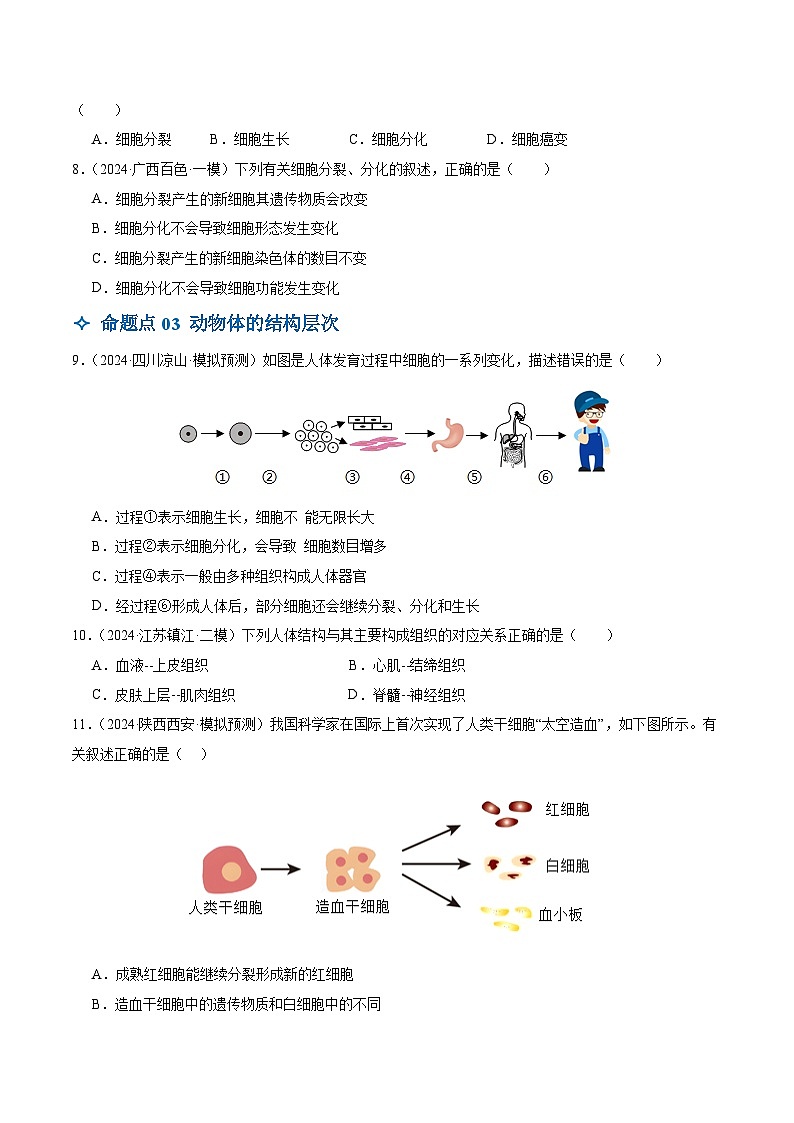 2025年中考生物一轮复习 第04讲 细胞怎样构成生物体（6大命题点分层精练）（原卷版）第3页