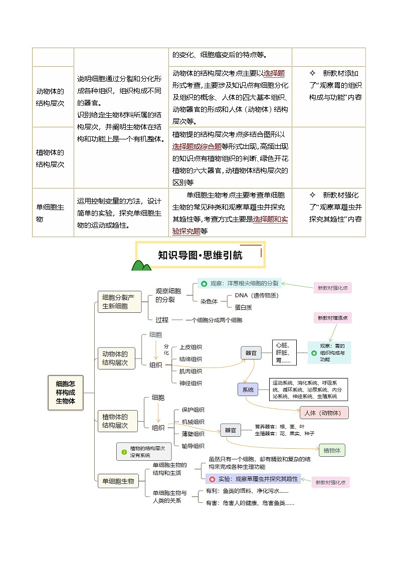 2025年中考生物一轮复习 第04讲 细胞怎样构成生物体（精研讲义）（原卷版）第2页