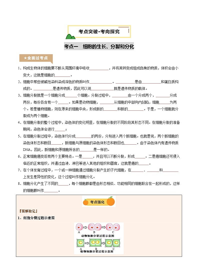 2025年中考生物一轮复习 第04讲 细胞怎样构成生物体（精研讲义）（原卷版）第3页