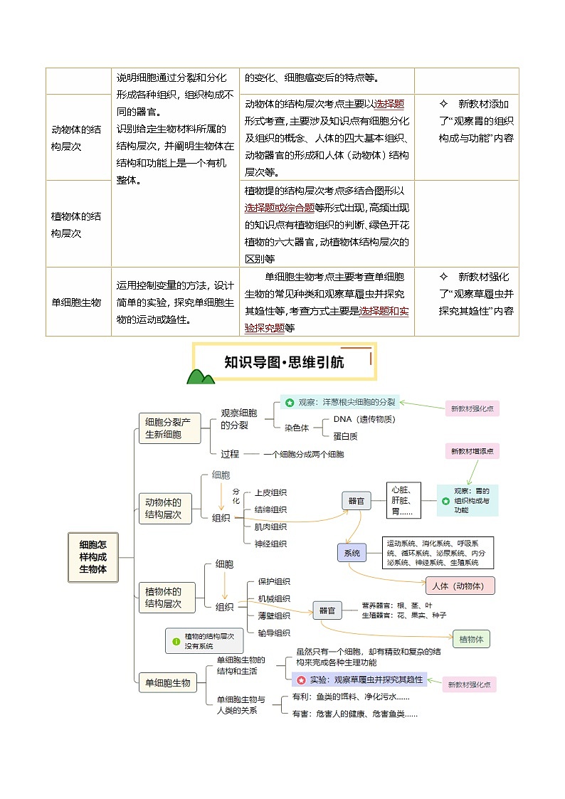 2025年中考生物一轮复习 第04讲 细胞怎样构成生物体（精研讲义）（解析版）第2页