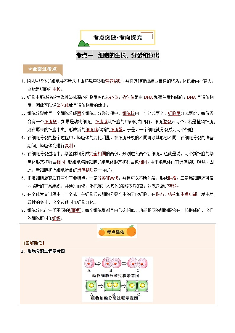2025年中考生物一轮复习 第04讲 细胞怎样构成生物体（精研讲义）（解析版）第3页