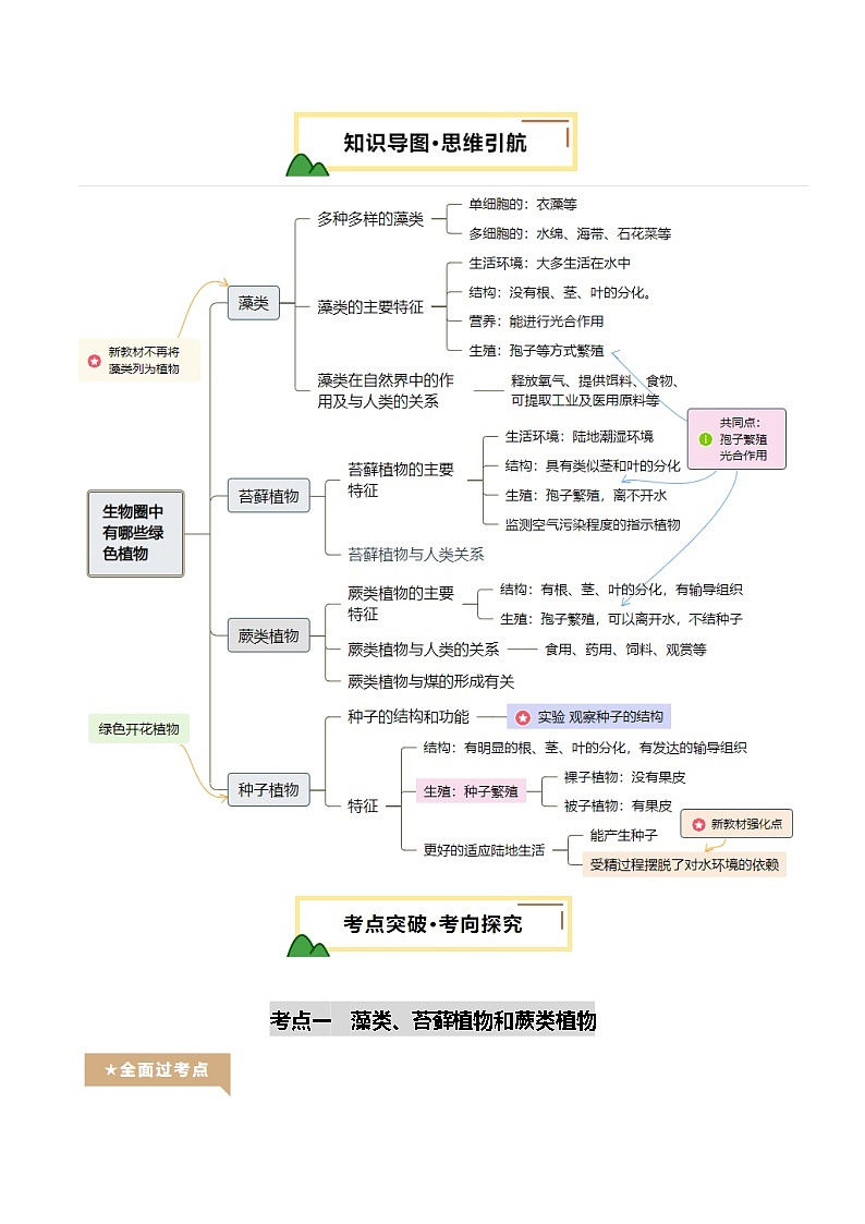 2025年中考生物一轮复习 第05讲 生物圈中有哪些绿色植物（精研讲义）（原卷版）第2页