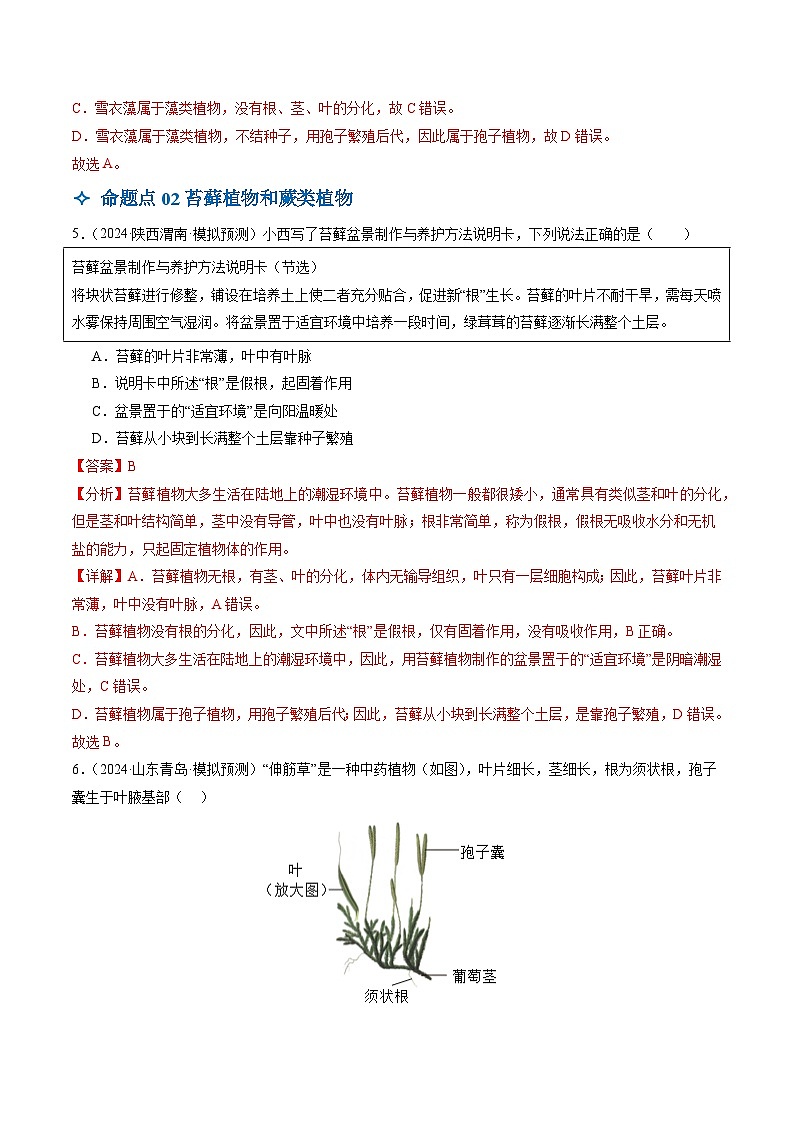 2025年中考生物一轮复习 第05讲 生物圈中有哪些绿色植物（5大命题点分层精练）（解析版）第3页