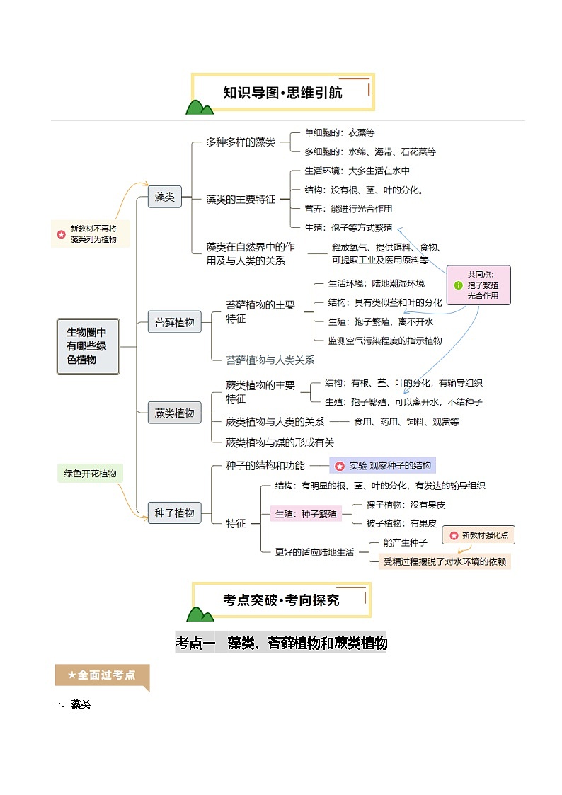 2025年中考生物一轮复习 第05讲 生物圈中有哪些绿色植物（精研讲义）（解析版）第2页