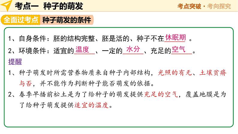 2025年中考生物一轮复习 第06讲 被子植物的一生 课件第6页