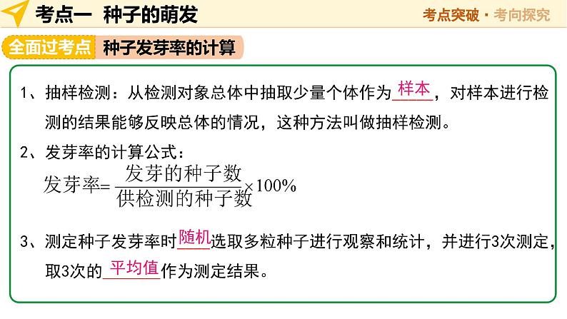 2025年中考生物一轮复习 第06讲 被子植物的一生 课件第8页