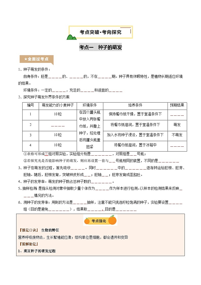 2025年中考生物一轮复习 第06讲 被子植物的一生（精研讲义）（原卷版）第3页