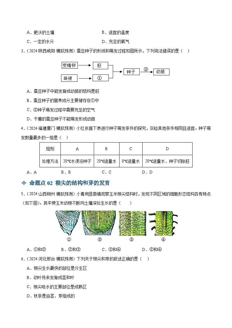 2025年中考生物一轮复习 第06讲 被子植物的一生（5大命题点分层精练）（原卷版）第2页