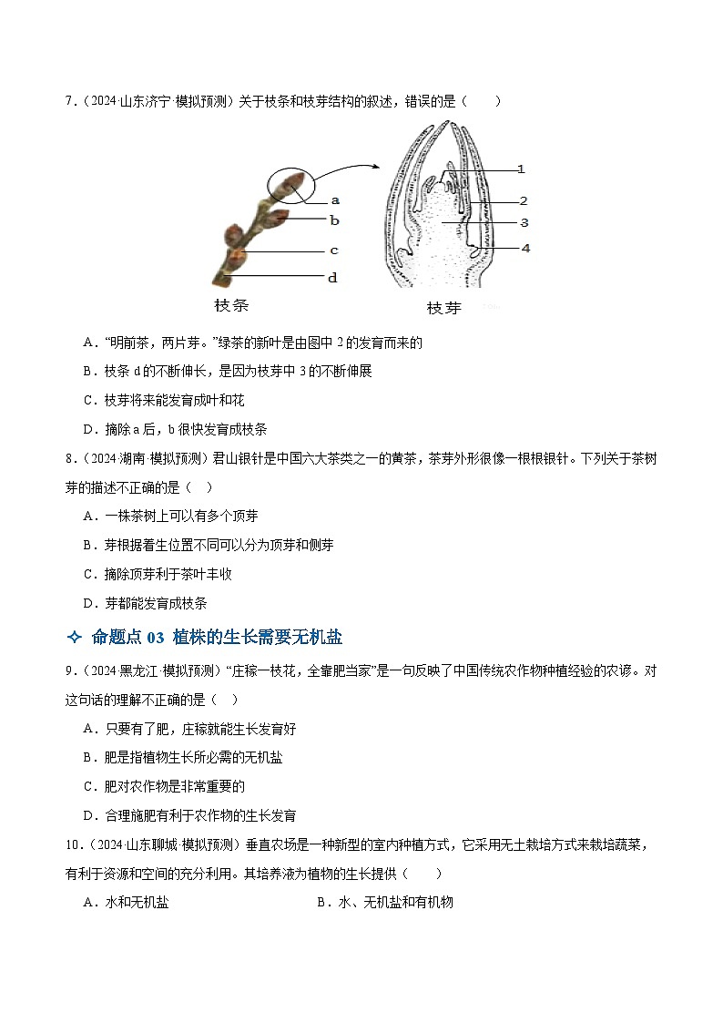 2025年中考生物一轮复习 第06讲 被子植物的一生（5大命题点分层精练）（原卷版）第3页
