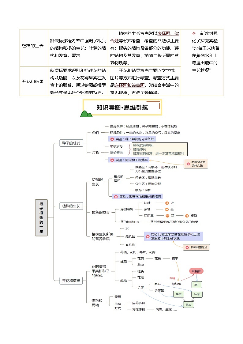 2025年中考生物一轮复习 第06讲 被子植物的一生（精研讲义）（解析版）第2页