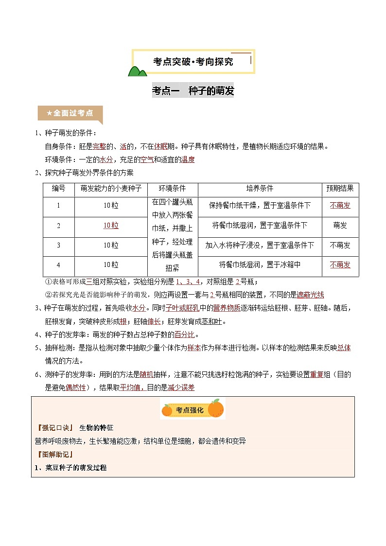 2025年中考生物一轮复习 第06讲 被子植物的一生（精研讲义）（解析版）第3页
