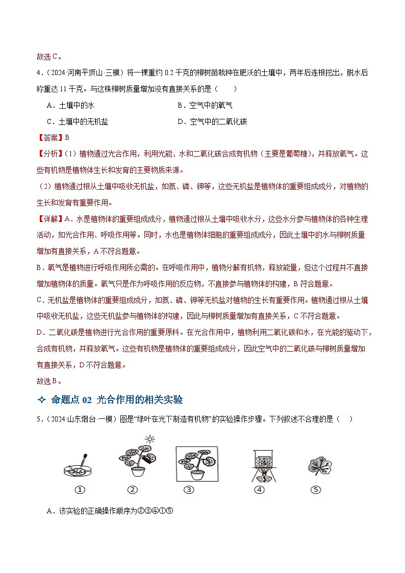 2025年中考生物一轮复习 第08讲 绿色植物的光合作用（3大命题点分层精练）（解析版）第3页
