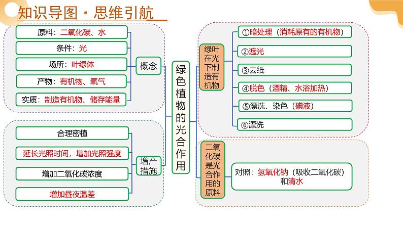 2025年中考生物一轮复习 第08讲 绿色植物的光合作用 课件第4页