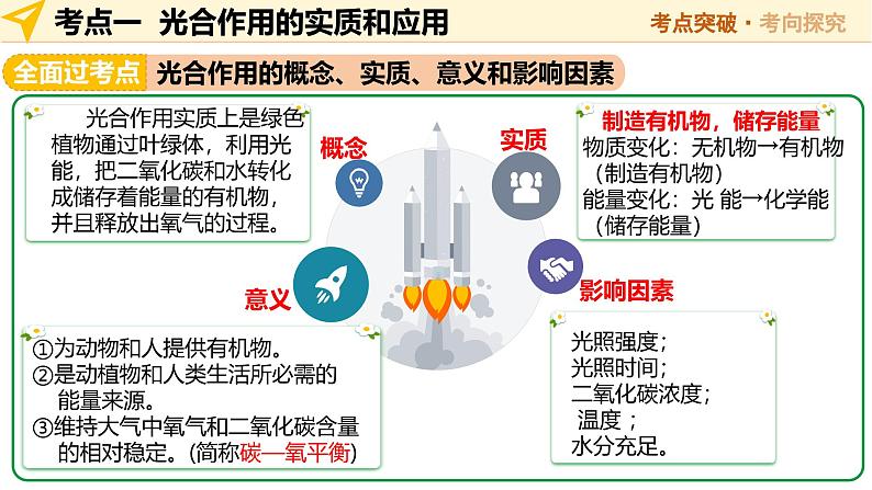 2025年中考生物一轮复习 第08讲 绿色植物的光合作用 课件第6页