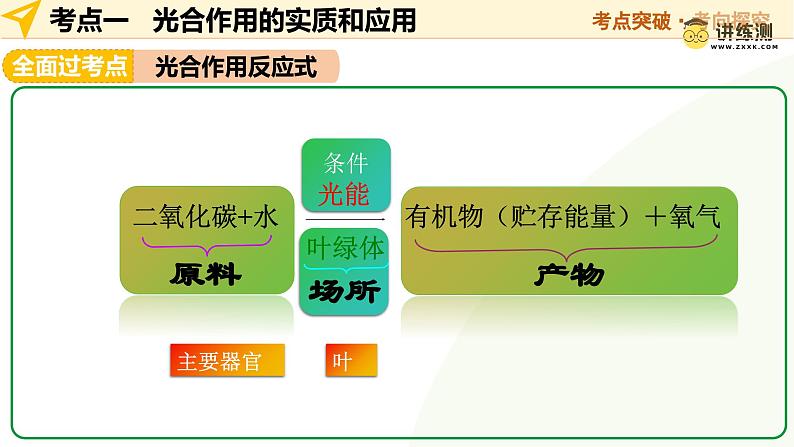 2025年中考生物一轮复习 第08讲 绿色植物的光合作用 课件第7页