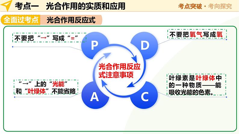 2025年中考生物一轮复习 第08讲 绿色植物的光合作用 课件第8页