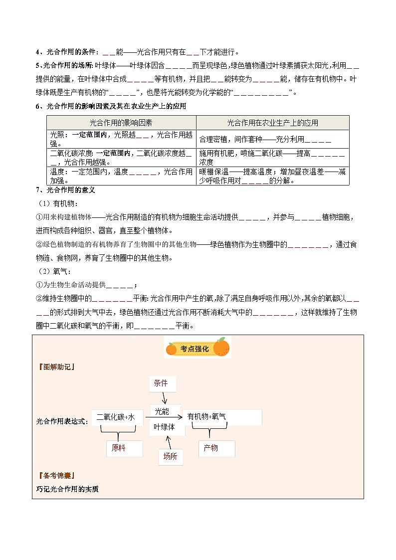 2025年中考生物一轮复习 第08讲 绿色植物的光合作用（精研讲义）（原卷版）第3页