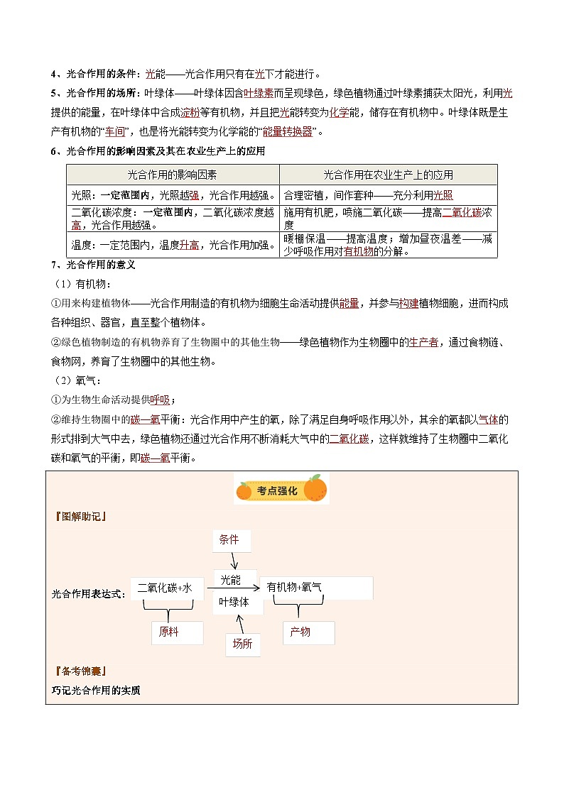 2025年中考生物一轮复习 第08讲 绿色植物的光合作用（精研讲义）（解析版）第3页